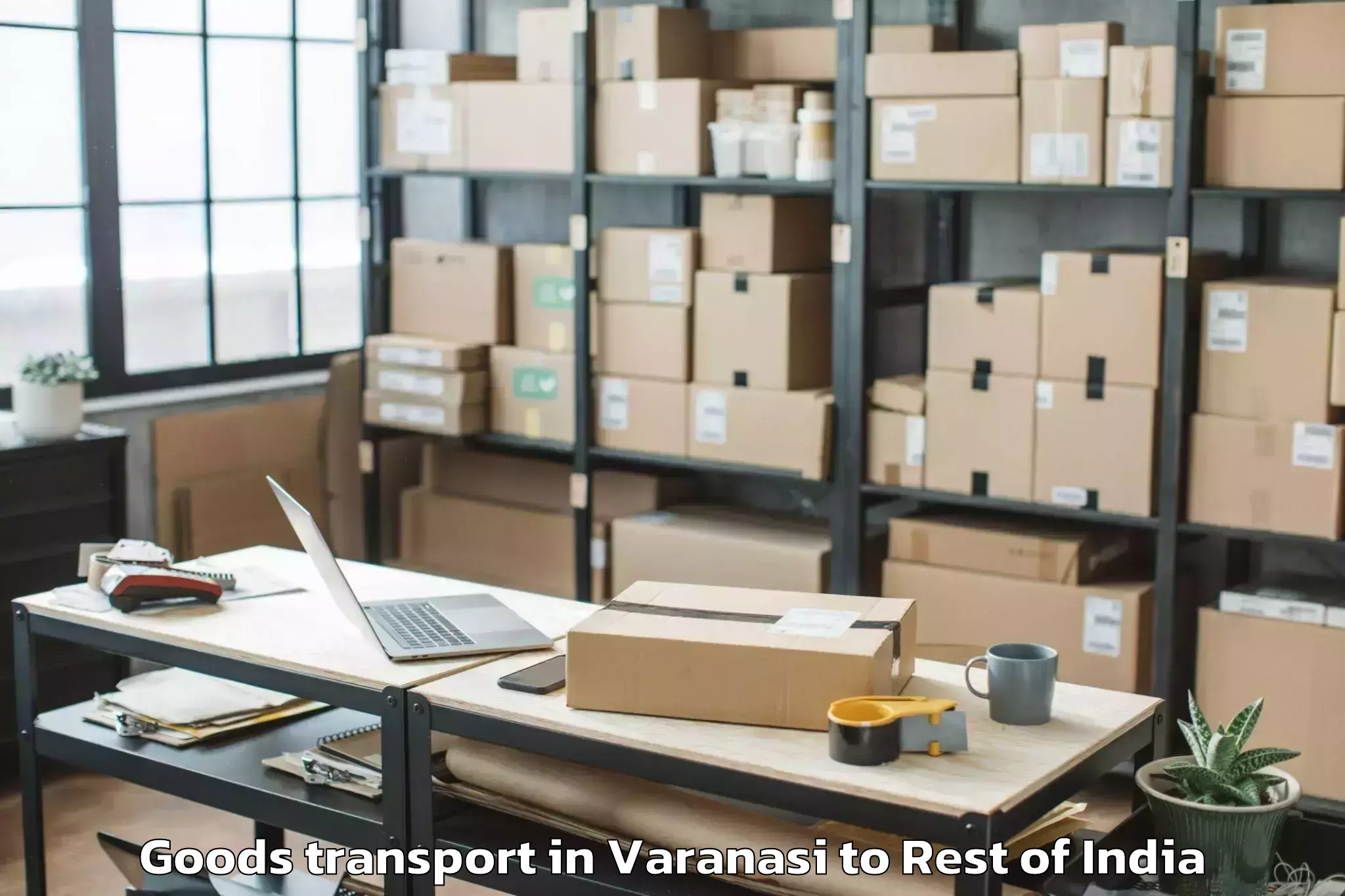 Affordable Varanasi to Damercherla Goods Transport